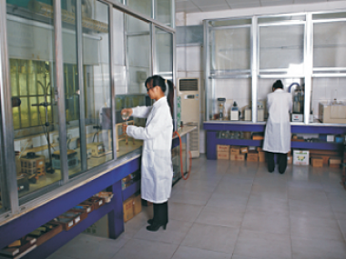 公司相冊