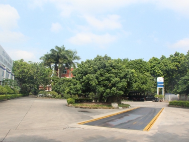 公司環(huán)境